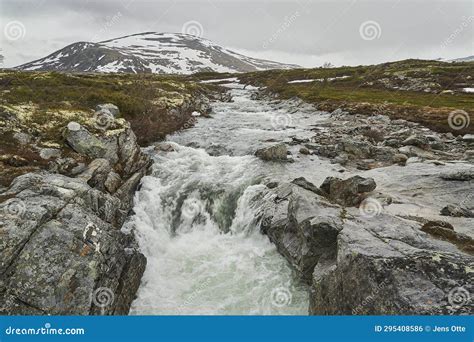 O Parque Nacional da Tundra Khanty-Mansi: Uma jornada épica pela vasta beleza natural da Sibéria!