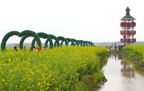  Parque do Lago Xinghua, um refúgio verdejante para aventureiros e amantes da natureza!